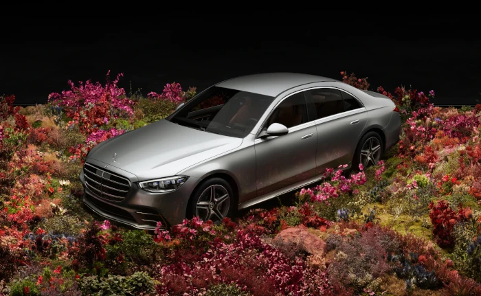 Silver Mercedes-Benz S-Class positioned in a landscape of flowers and plants